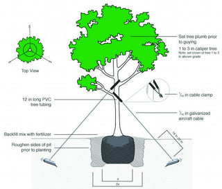 Hulk Tree Guying Kit - 350mm Caliper - Soft Soil