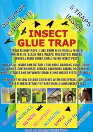 INSECT GLUE TRAPS