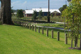 Pine Bollard - 100m x 1200mm