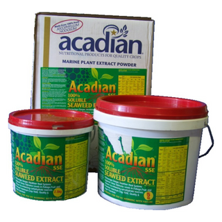 Acadian Seaweed Powder