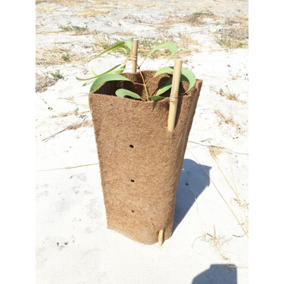 Strata Tree Box Tree Guards for Sale - Tree Protectors | StrataGreen