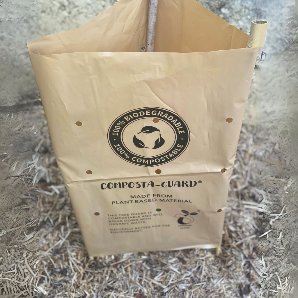 Composta-Guard Biodegradable Tree Guard Sleeve 450mm (200 Pack ...