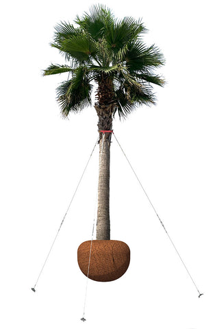 Hulk Palm Tree Guy Kit