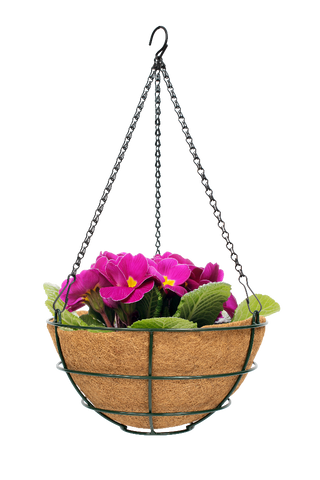 Rally Hanging Basket