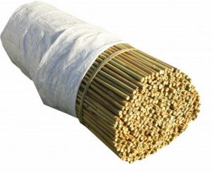 Bamboo Canes for Tree Guards