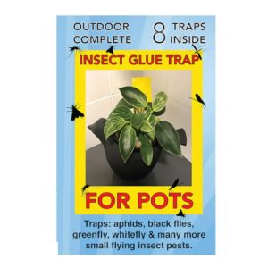 Insect Glue Trap StrataGreen