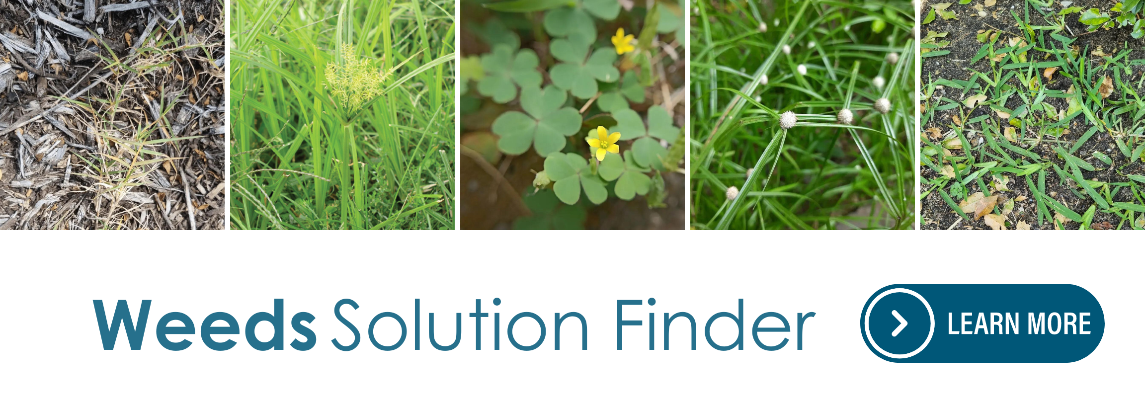 StrataGreen Weeds Solution Finder